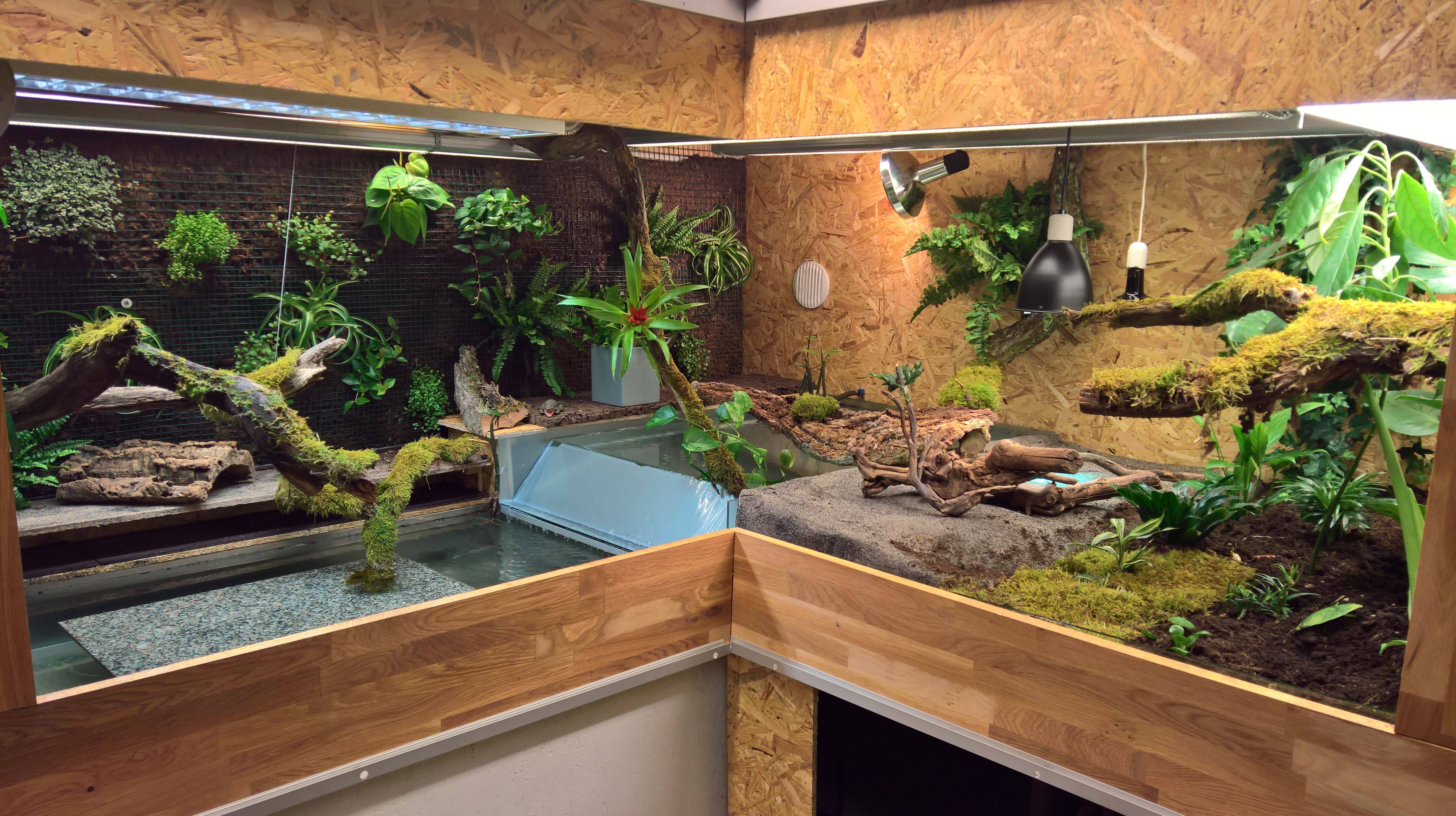 Аквариум для красноухой черепахи: обустройство и оформление акватеррариума, чем украсить резервуар
