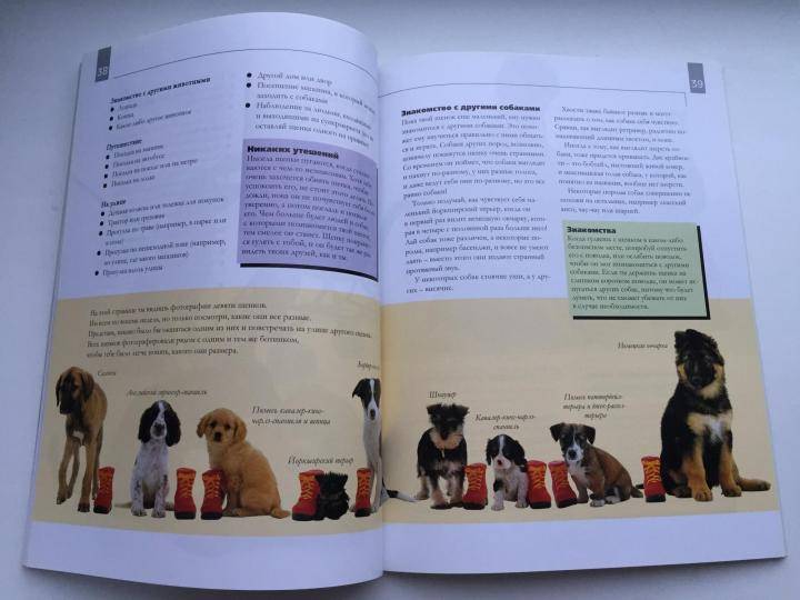 Как научить собаку команде фас в домашних условиях: инструкция с видео