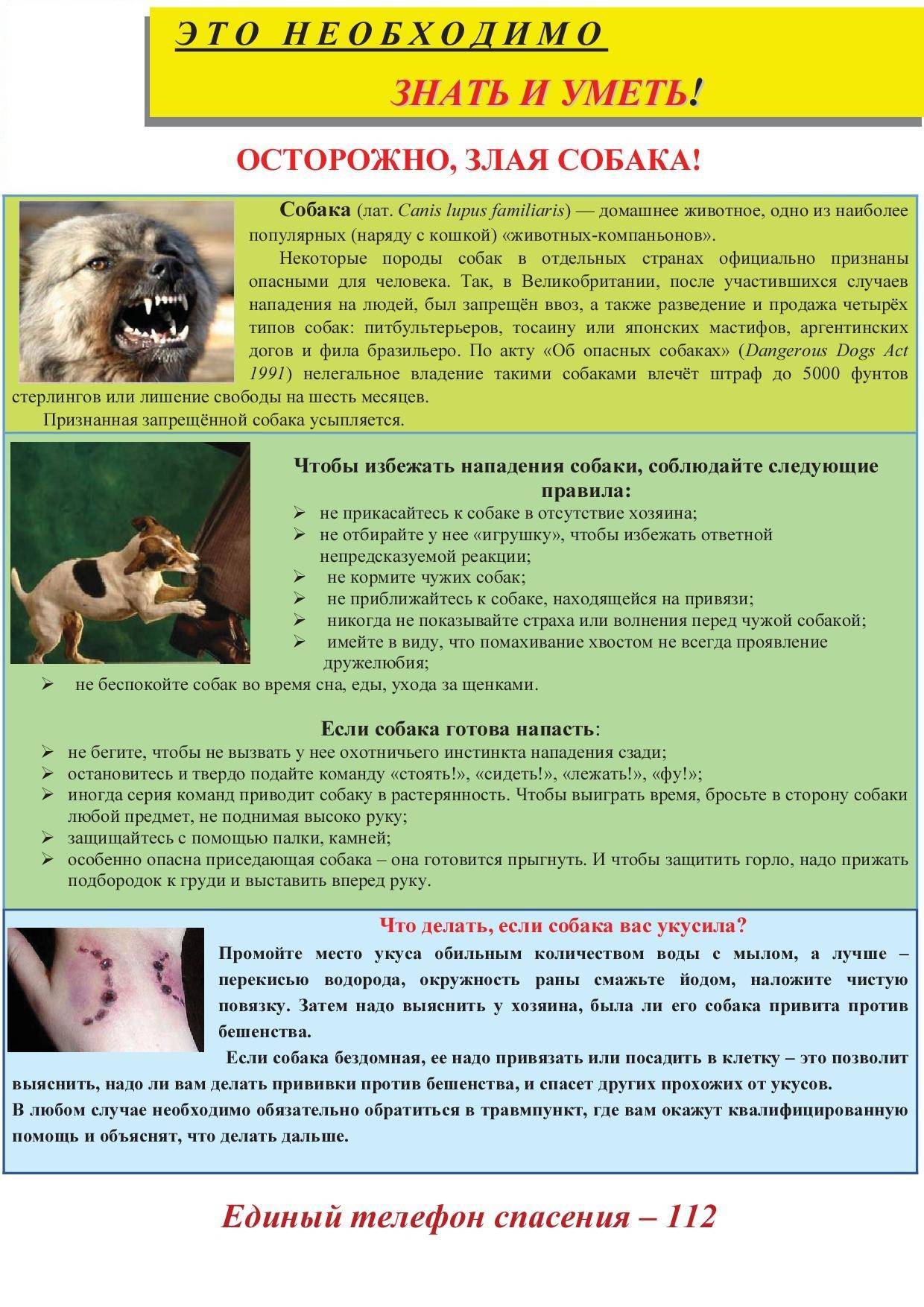 Ответственность хозяина собаки за нападение и укус человека и причинять вред имуществу | юридические советы
