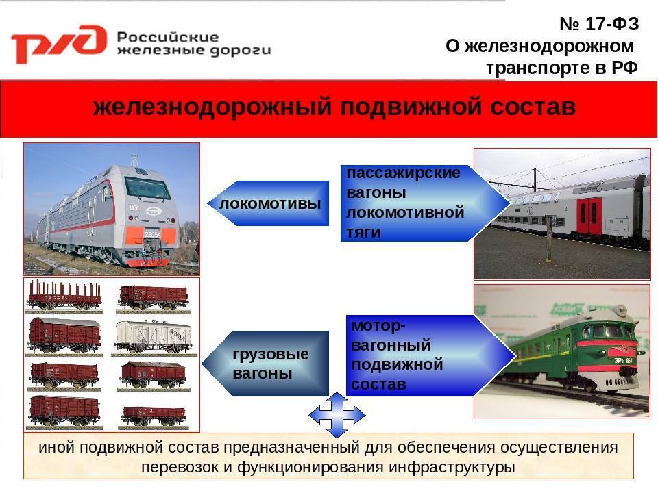 Правила перевозки собак в поезде РЖД 2020 года