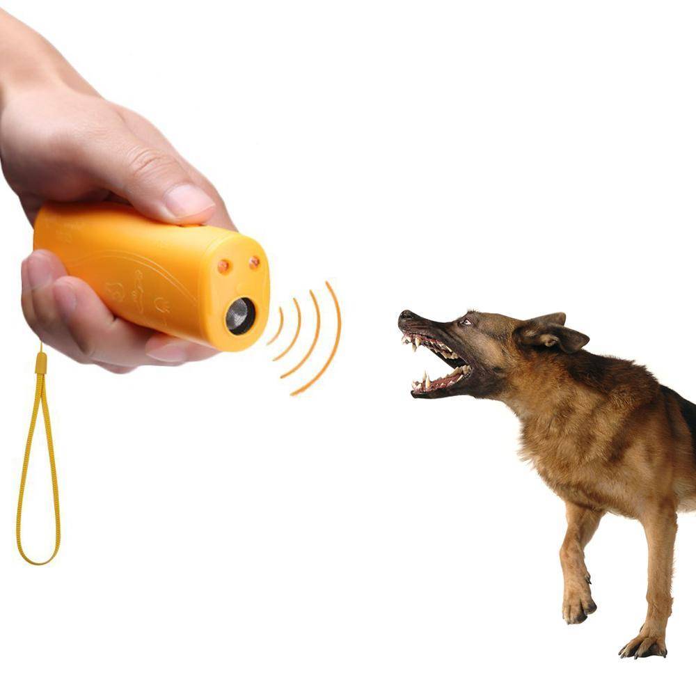 Действие ультразвука на собаку: какие звуки раздражают животных на самом деле