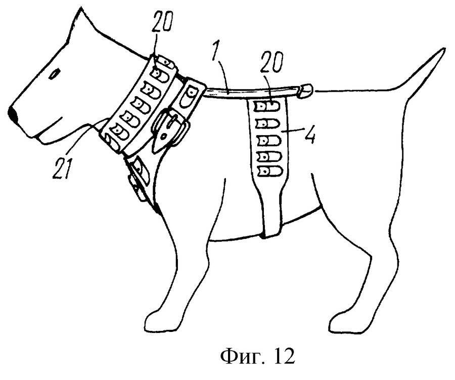 Выкройка шлейки для маленькой породы собак своими руками