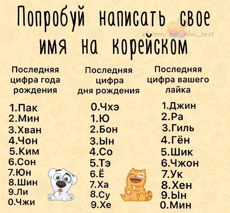 Клички для собак девочек: как можно назвать - легкие, редкие, красивые, прикольные, смешные, русские, популярные, для черной и белой суки имена со значением