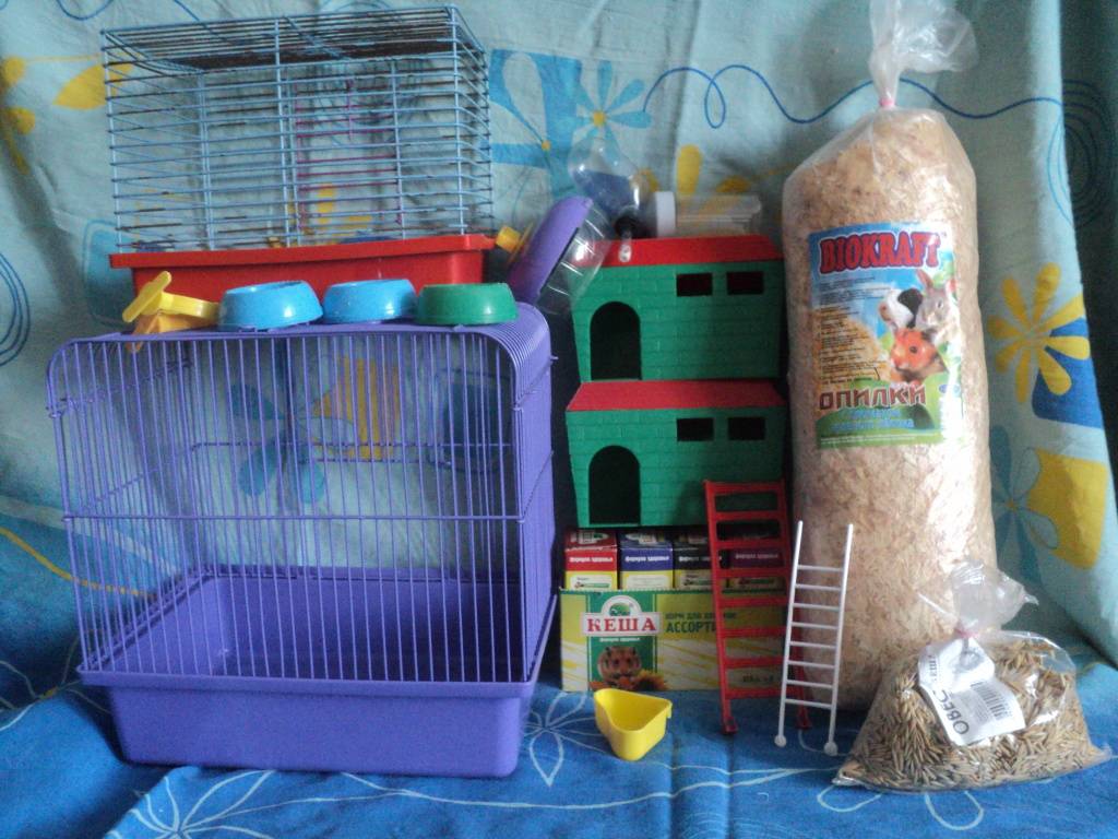 ᐉ как сделать игрушки для хомяка своими руками в домашних условиях - zoopalitra-spb.ru