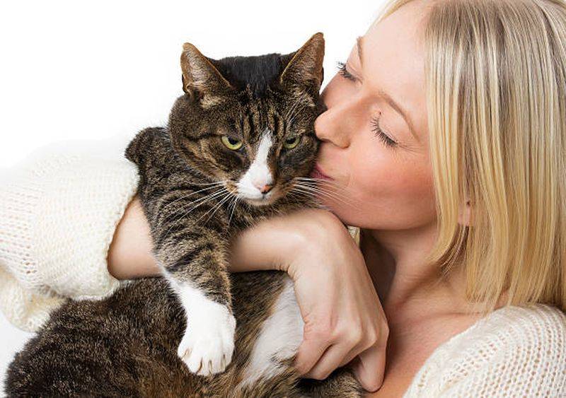 Кошка – лучшая защита вашего дома от нечисти и дурного глаза, выберите свою