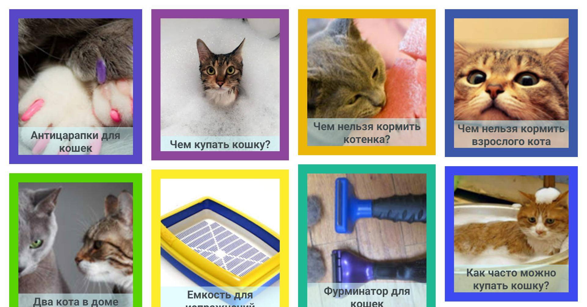 Как мыть кошку в домашних условиях - подробная инструкция и мой личный опыт