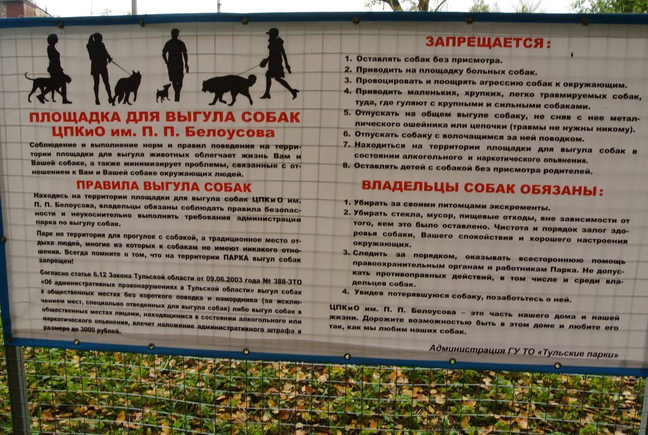 Закон о содержании собак: правила содержания собак, основные тезисы закона