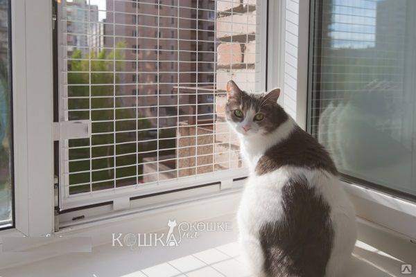Балкон для кошек: установка сетки, выгул на окно, вольер, домик, игровой комплекс