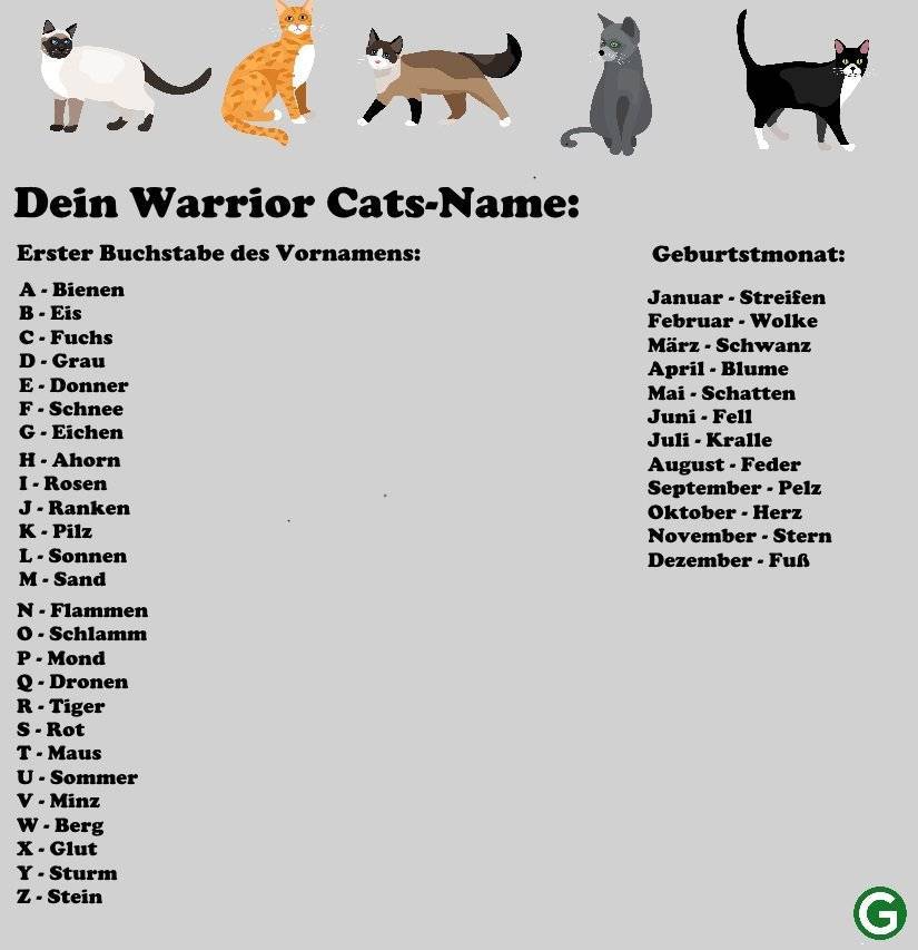 Имена для кошек: [750+ вариантов как назвать кошку]