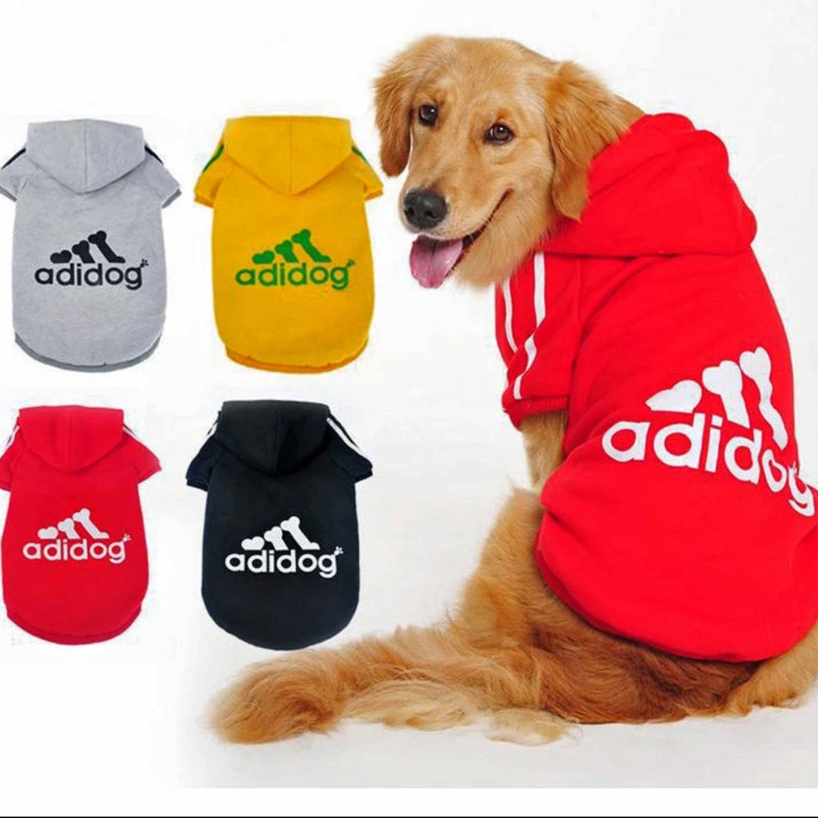 Одежда для собак, что предпочитают покупать владельцы своим любимцам