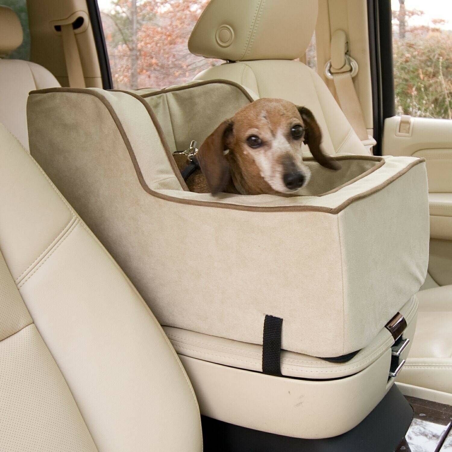 Перевозка собак в машине — как везти большого пса, на длинные расстояния