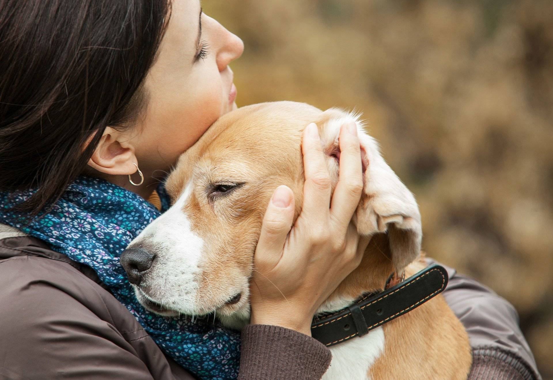 Без человека никак: породы собак, которым нужна особая забота - gafki.ru