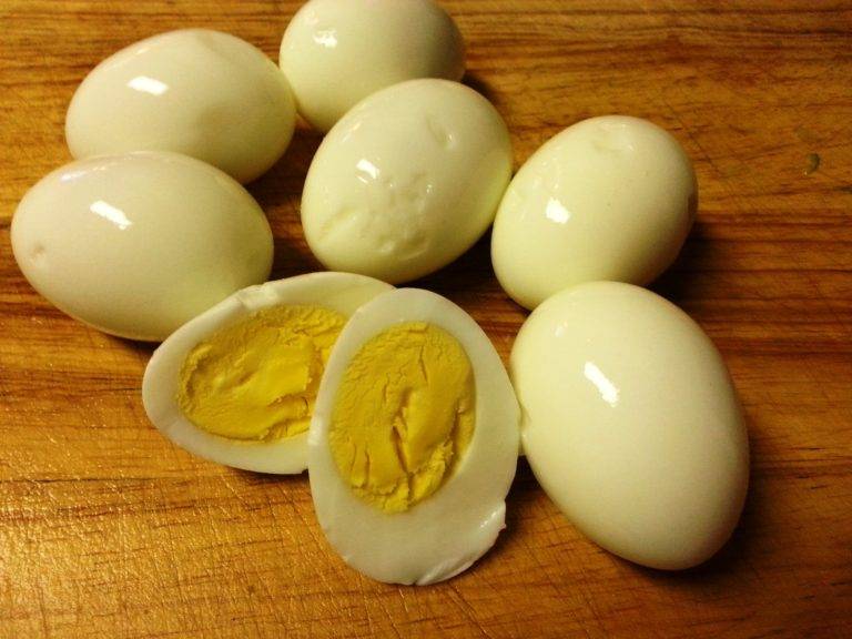 Можно ли собаке давать яйца: вареные, сырые и как часто