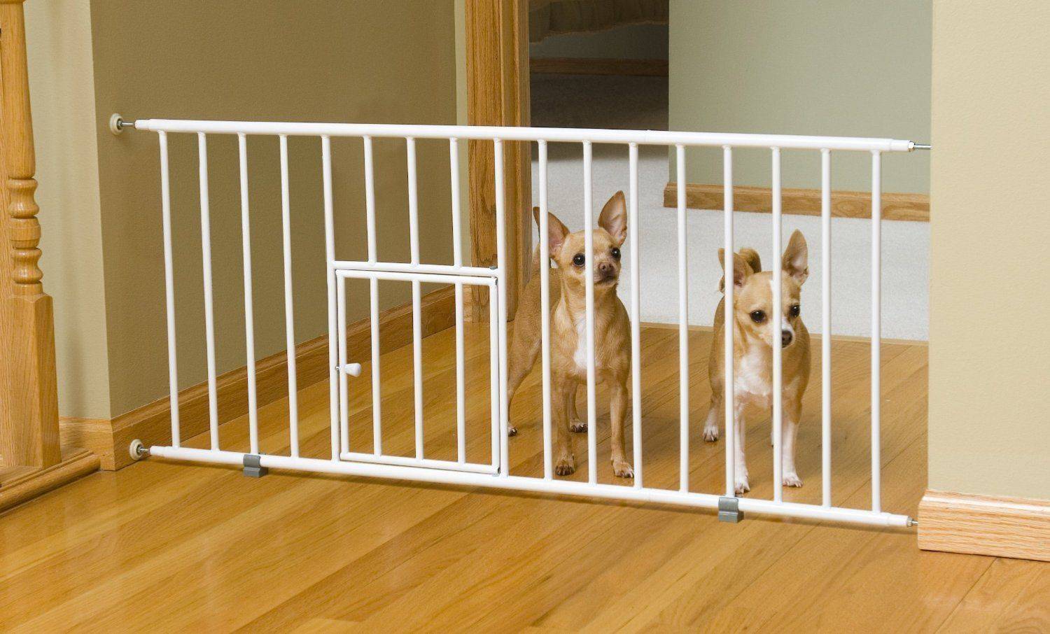 Как правильно выбрать ограждение для собак в квартиру или на дачу?