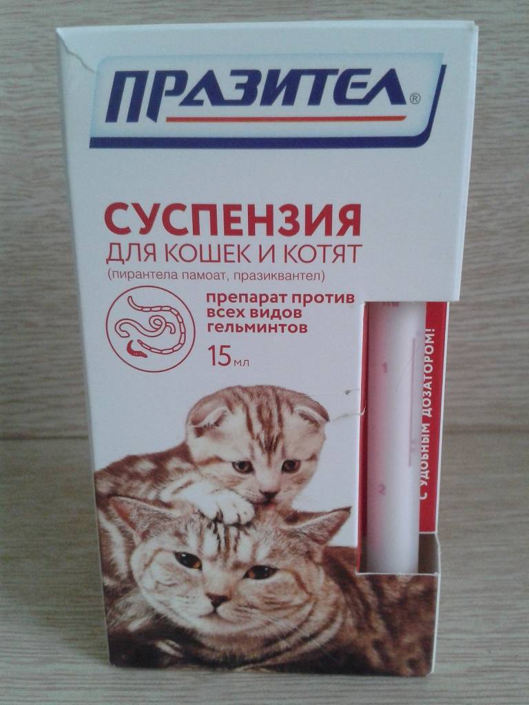 Инструкция по применению суспензии и таблеток «празител» для лечения кошек и котят от глистов, состав и дозировка