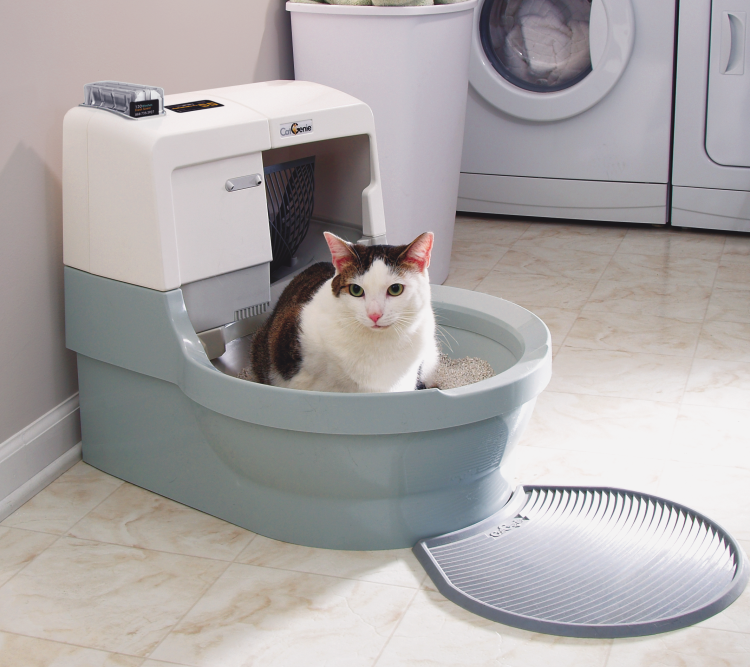Автоматический туалет для кошек и котов: как работает умный кошачий лоток
