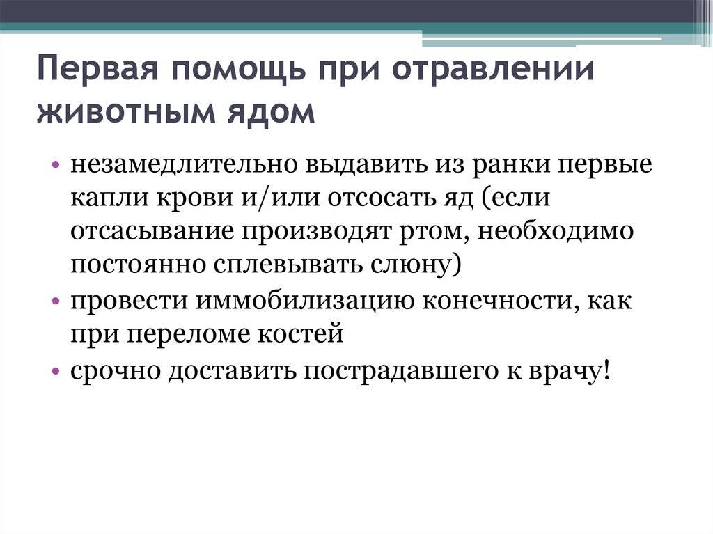Нейротоксикозы собак и кошек
