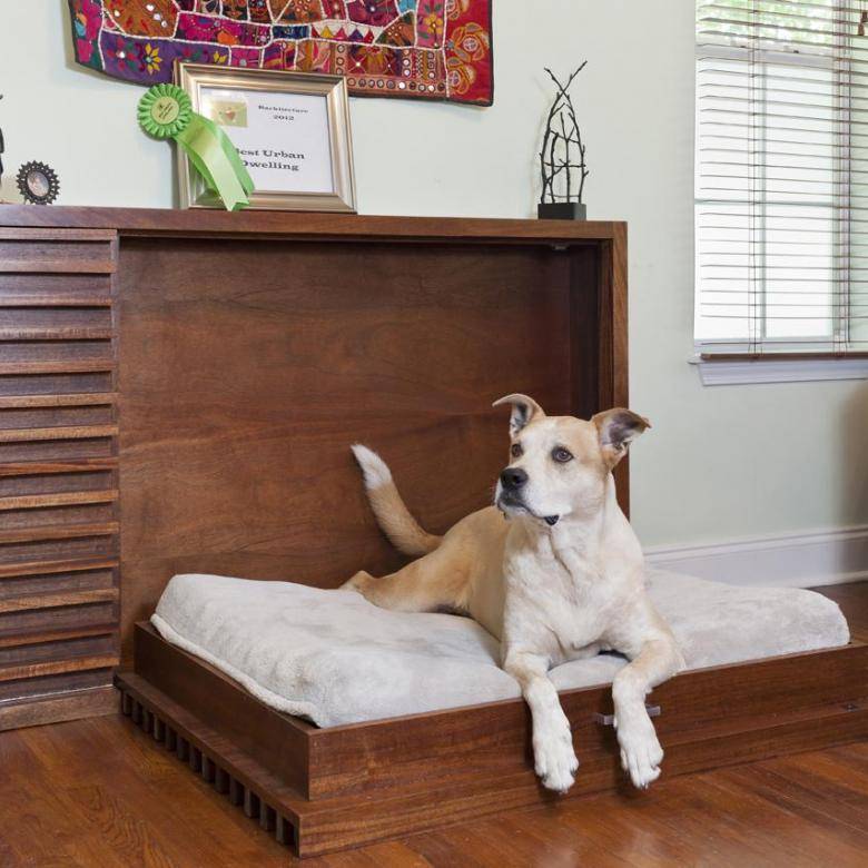 Если ваша собака грызёт мебель