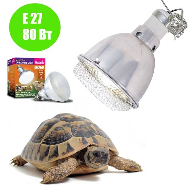 Выбор ультрафиолетовой лампы для красноухой черепахи