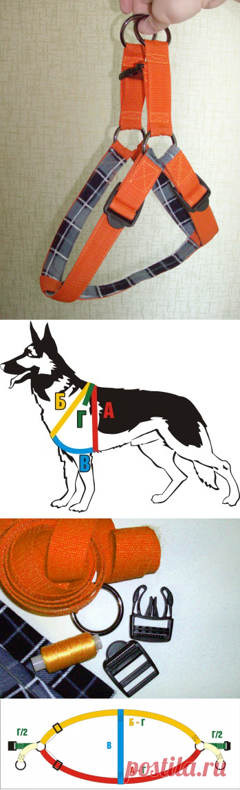 Готовые выкройки и порядок пошива шлейки для собак собственноручно