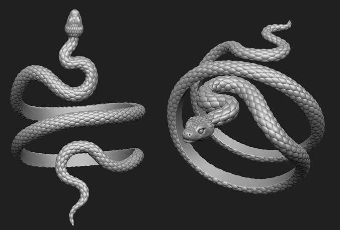 Змеи как домашние животные - характер, содержание и питание