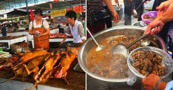 «они едят собак!» фестивали собачьего мяса в китае