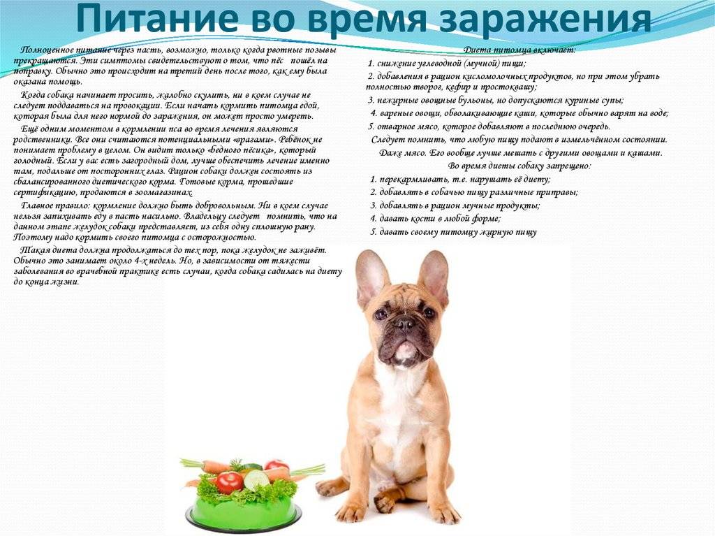 5. кормление собаки. служебная собака [руководство по подготовке специалистов служебного собаководства]