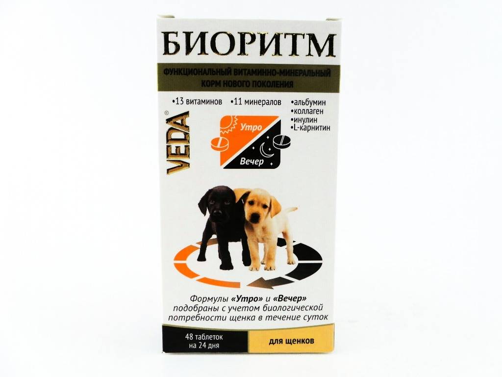 Обзор лучших комплексов витаминов для щенка и взрослой собаки всех пород