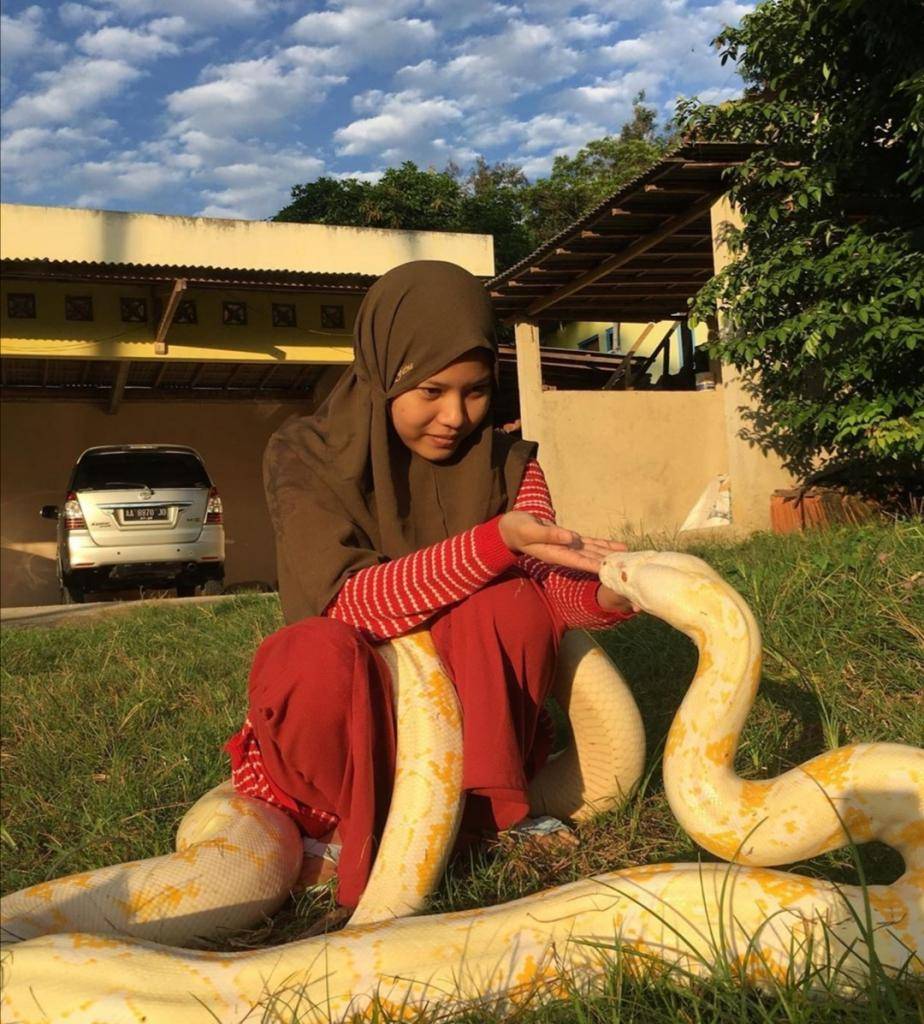 Змеи как домашние животные