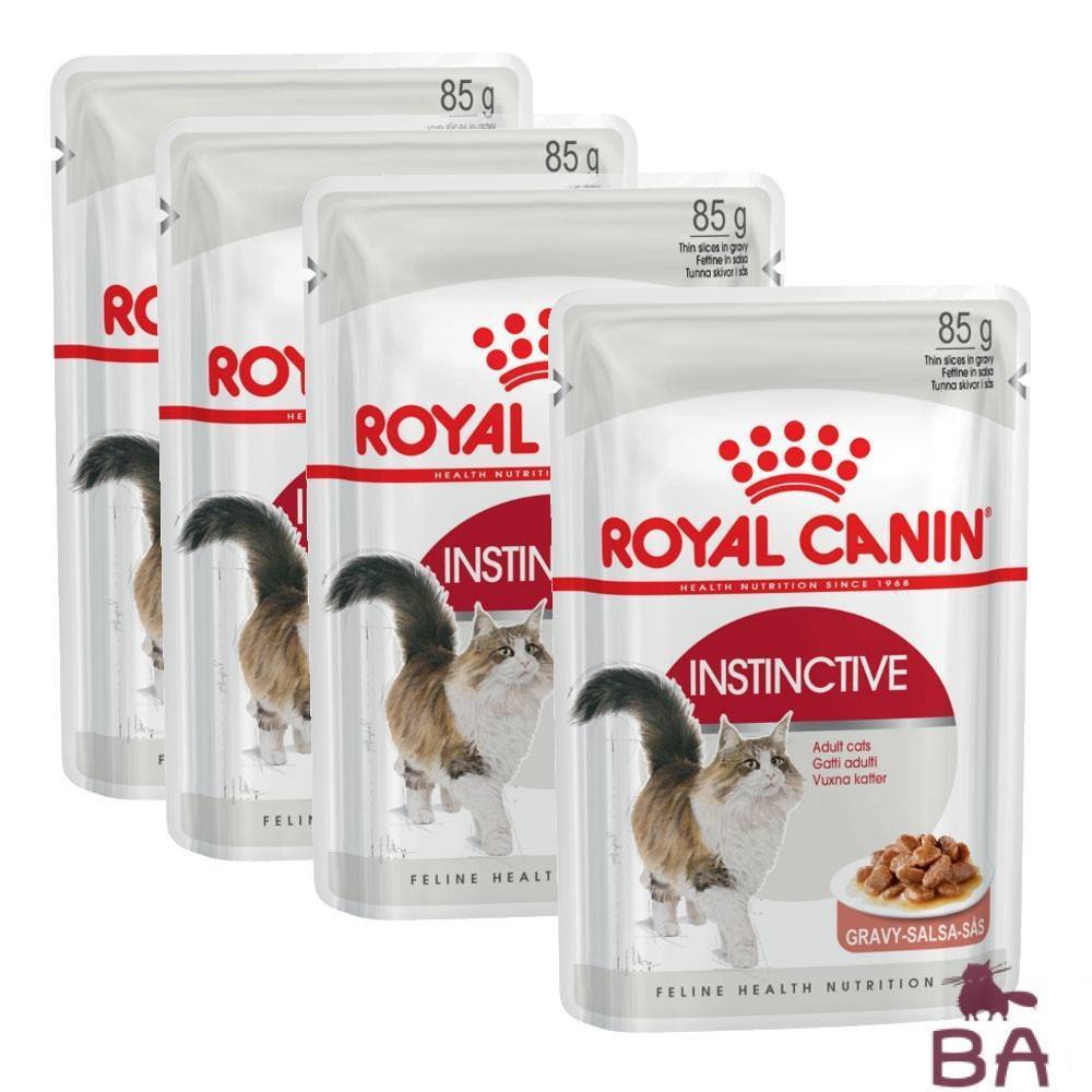 Royal canin (роял канин): обзор корма для кошек, состав, отзывы