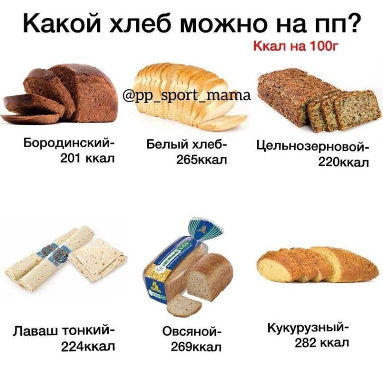 ᐉ можно ли хомякам хлеб черный и белый, макароны и сухарики? - zoopalitra-spb.ru