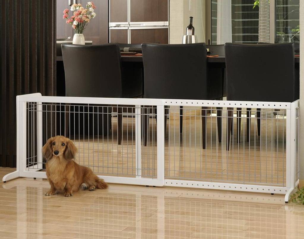 ᐉ как выбрать спальное место для собаки: практические рекомендации - ➡ motildazoo.ru