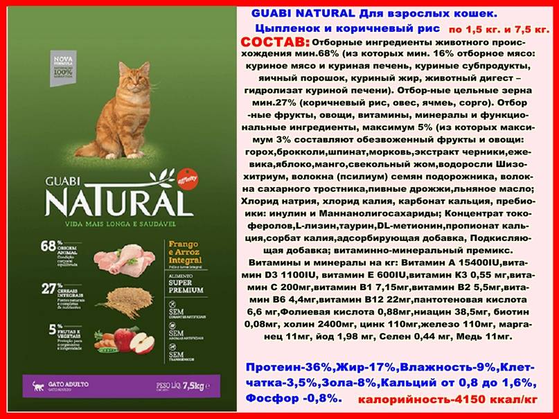 Подробная характеристика и состав кормов от компании «гуаби» для кошки и котенка
