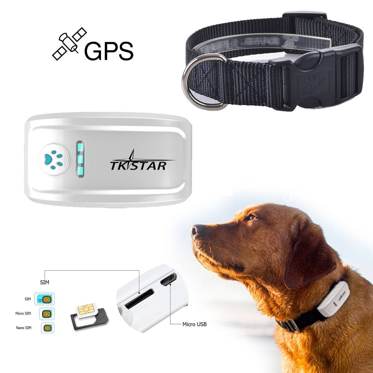 Gps-трекер для собак: обзор, устройство, модели и отзывы :: syl.ru