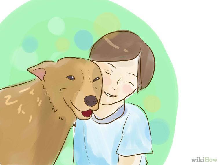 Как уговорить своих родителей завести собаку