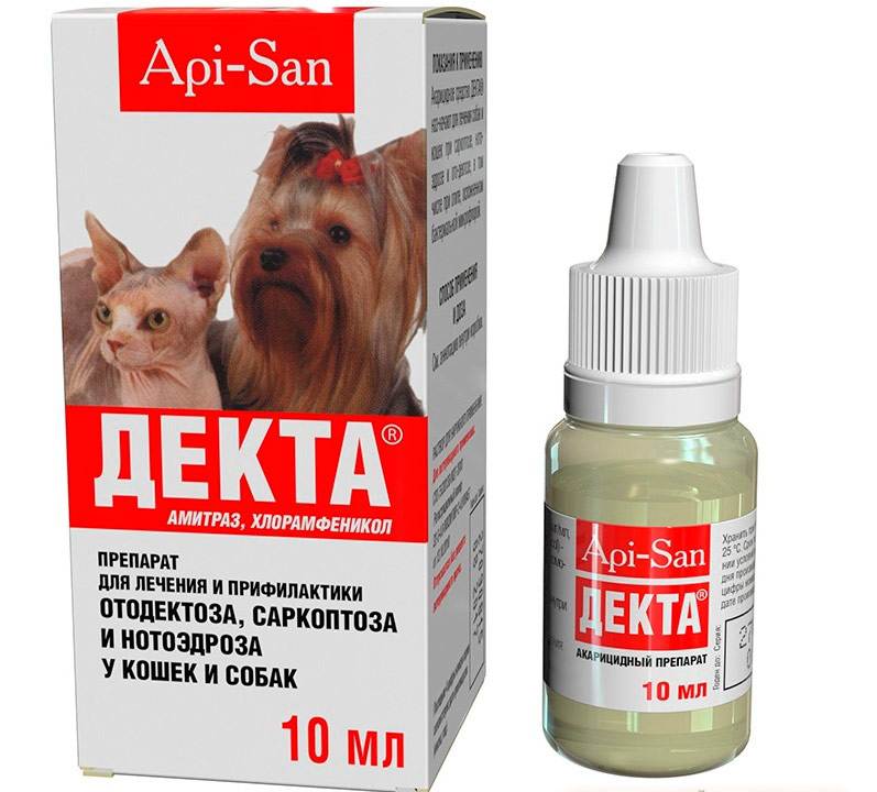 Чесотка у животных. симптомы, причины, лечение.