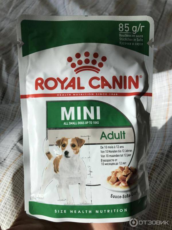 Корм для собак royal canin adult dog mini