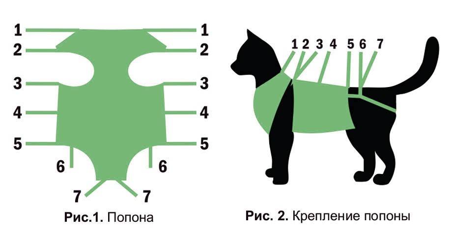Попона для кошки после стерилизации: как сделать своими руками?