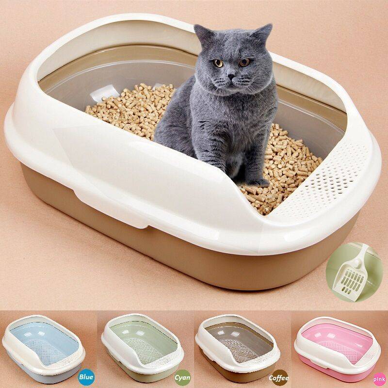Какой наполнитель для котят лучше использовать в кошачьем туалете