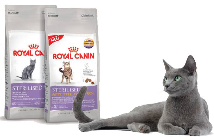 Обзор кормов royal canin для котов и кошек после стерилизации и кастрации