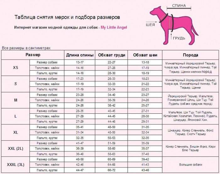 Вес немецкой овчарки в 2 месяца и до года. стандарты в 2, 3, 4, 5 месяцев вес немецкой овчарки и даже новорожденного щенка (по неделям)