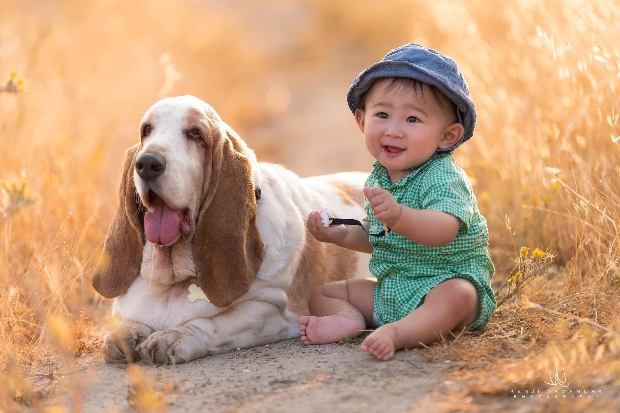 12 самых добрых пород собак — ласковые питомцы и верные друзья