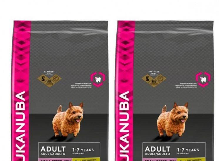 Эукануба для кошек: отзывы ветеринара и рекомендации по кормлению