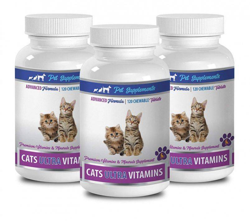 Витамины для кошек: для иммунитета, для кастрированных котов, какие лучше, как давать, дозировка