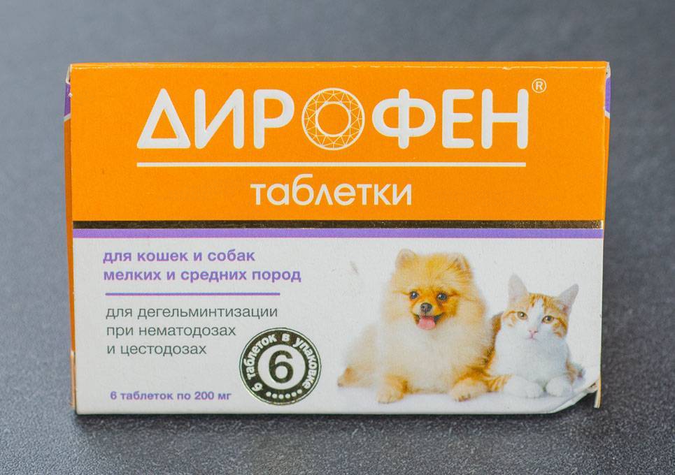 Противоглистные препараты для кошек