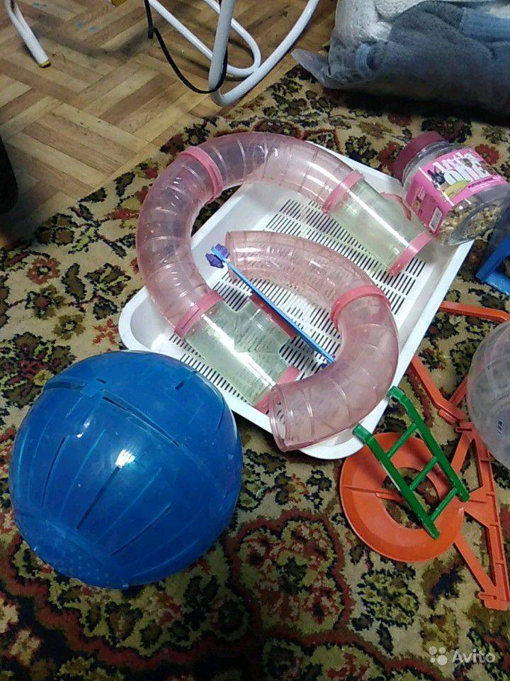 ᐉ как сделать игрушки для хомяка своими руками в домашних условиях - zoopalitra-spb.ru
