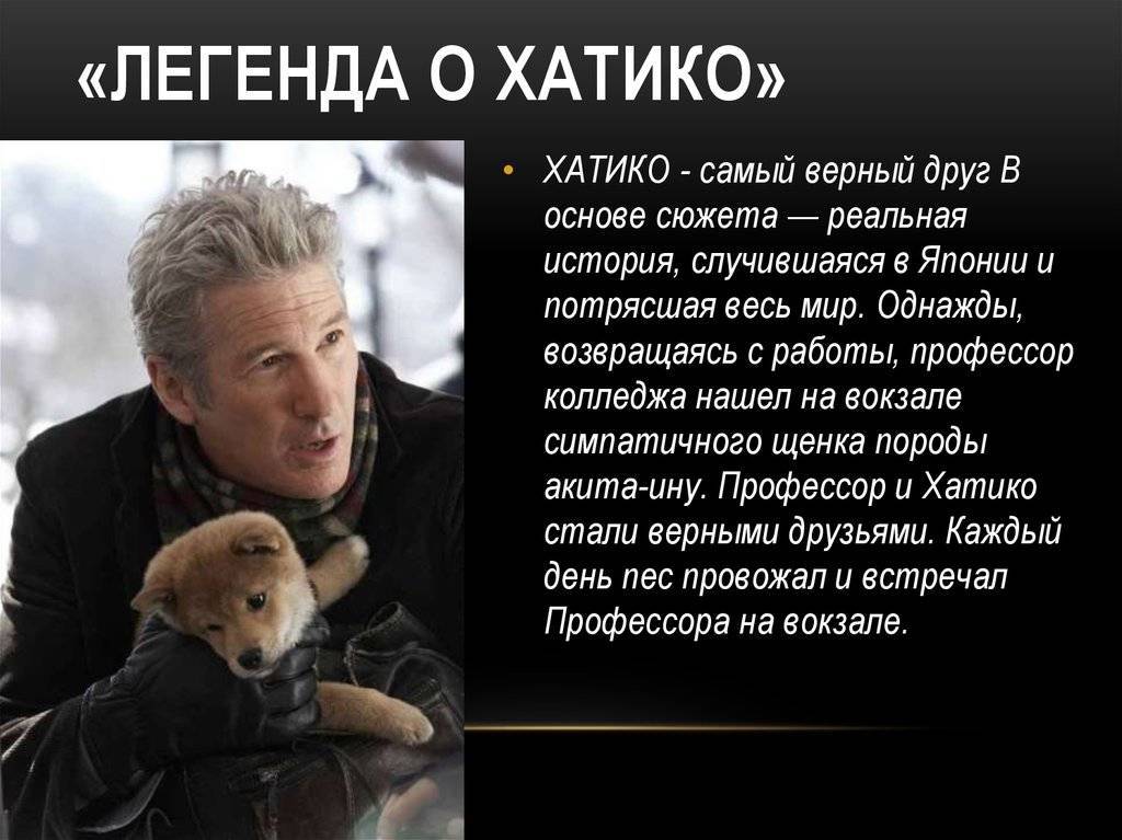 ᐉ какая порода собак снималась в фильме хатико, на какой цнцахики пес? - zoo-mamontenok.ru