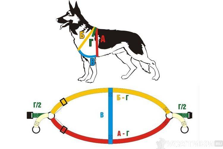 Шлейка для собаки своими руками: пошаговая инструкция, как сшить для маленьких или больших собак