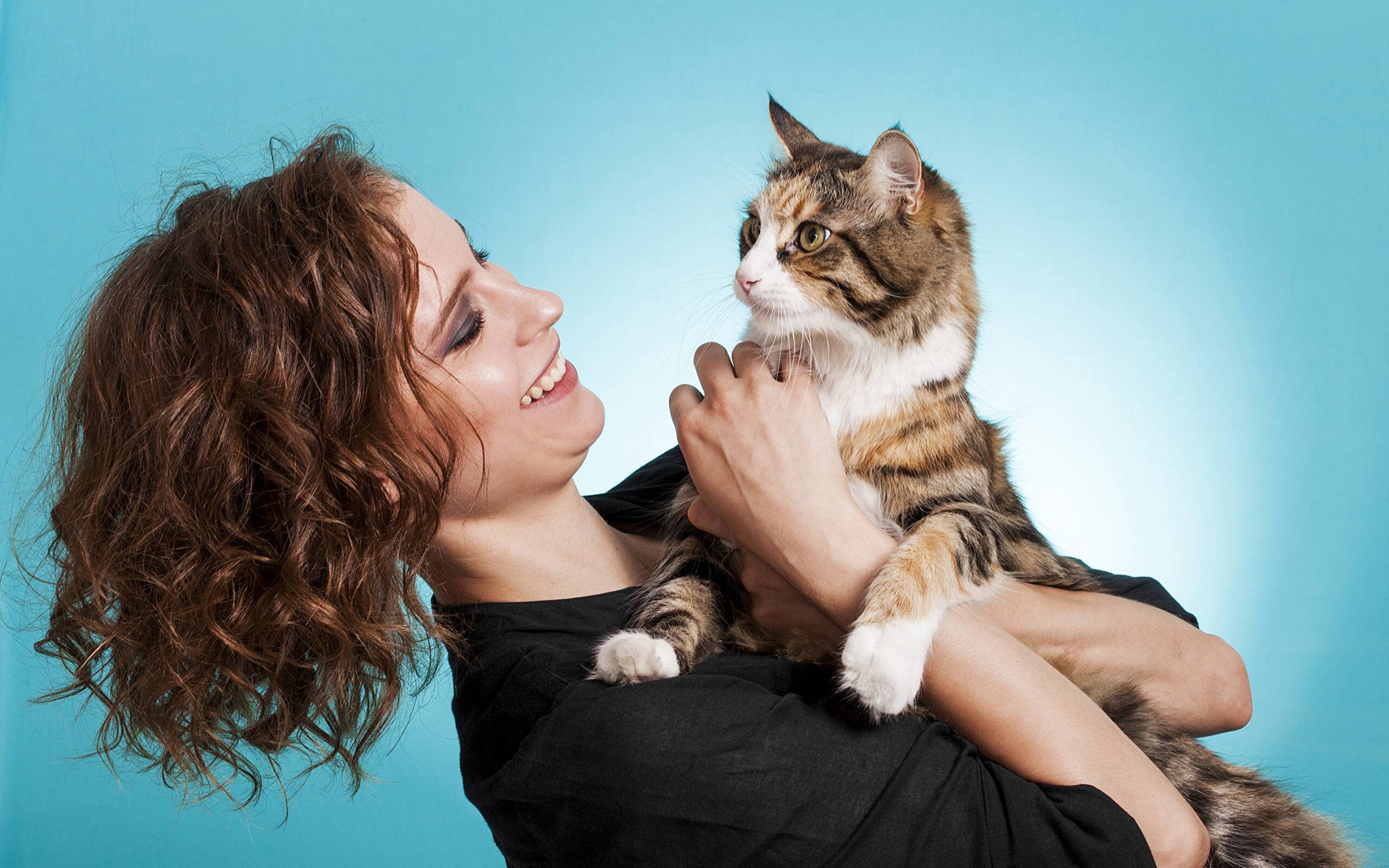 Как кошки и коты показывают свои чувства к хозяину: признаки кошачьей любви