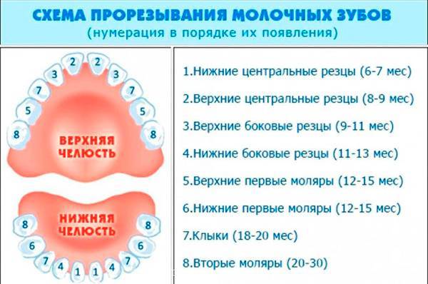 Пульпит: лечить или удалять зуб, симптомы, методы лечения, профилактика